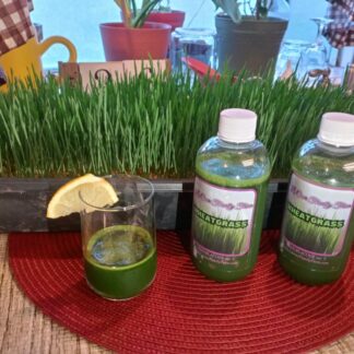 1 oz. Raw Wheatgrass Juice